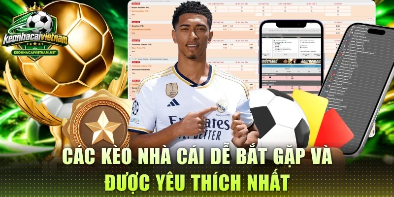 Các Kèo Nhà Cái dễ bắt gặp và được yêu thích nhất